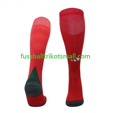 Wales Socken 2024-2025 Heim